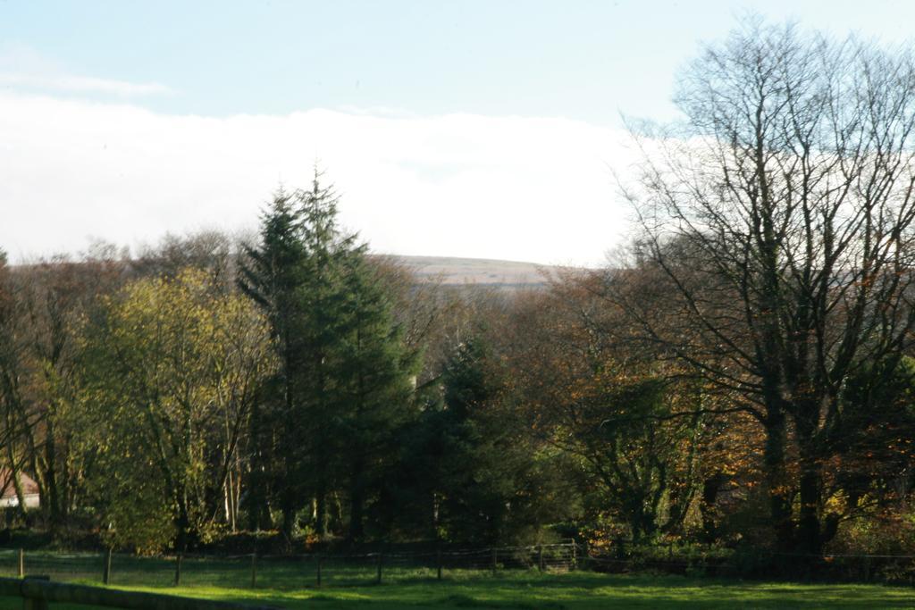 Lydford House Ξενοδοχείο Εξωτερικό φωτογραφία